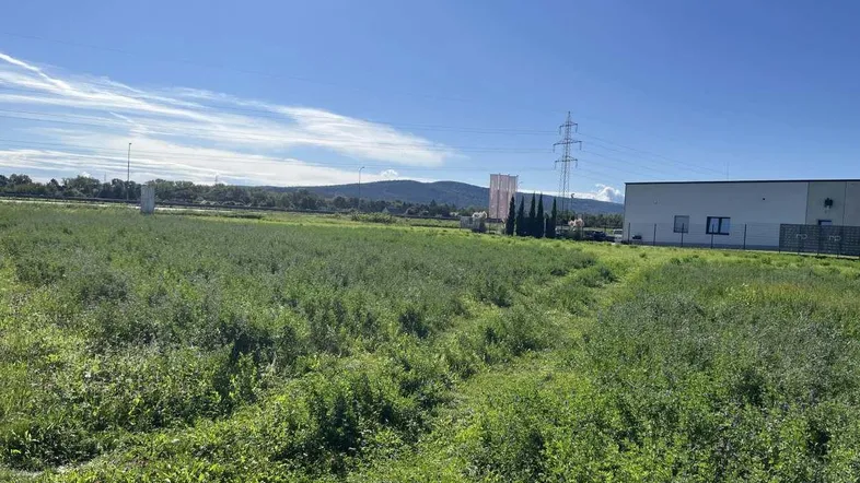 Weitläufiges grünes Feld mit einem modernen Industriegebäude im Hintergrund unter blauem Himmel und Bergen.