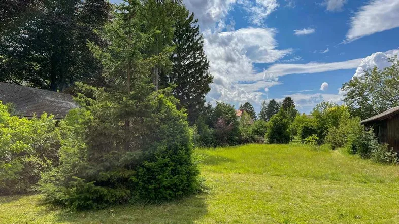 Große Rasenfläche mit Bäumen und Sträuchern unter einem blauen Himmel mit Wolken.