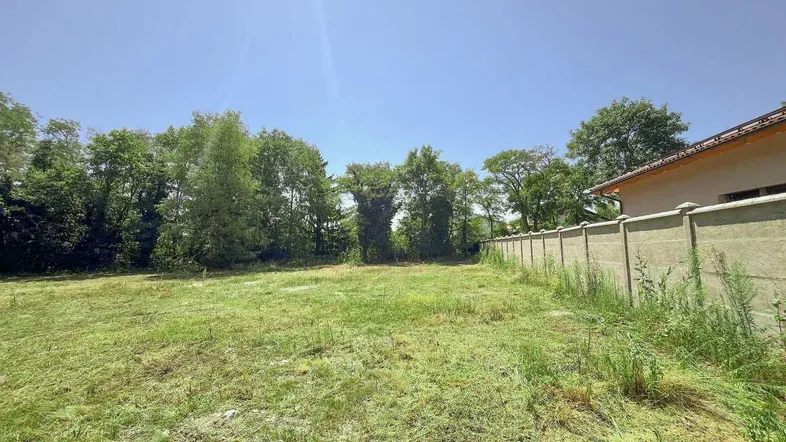 Weitläufige, sonnige Rasenfläche mit einem Zaun und Bäumen im Hintergrund, ideal für Gartenliebhaber.