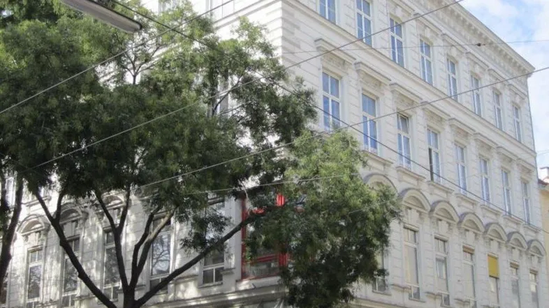 Weißes Altbaugebäude mit vielen Fenstern und Bäumen davor, das eine klassische Architektur zeigt.