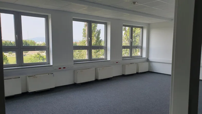 Heller Büroraum mit Teppichboden und mehreren Fenstern, die einen Blick ins Grüne bieten.