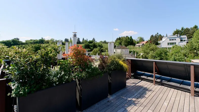 Sonnenterrasse mit Holzboden, Pflanzenkübeln und weitem Blick ins Grüne.