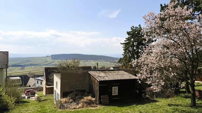 Gartenbereich mit Schuppen und blühendem Baum, bietet weite Aussicht auf die Landschaft.