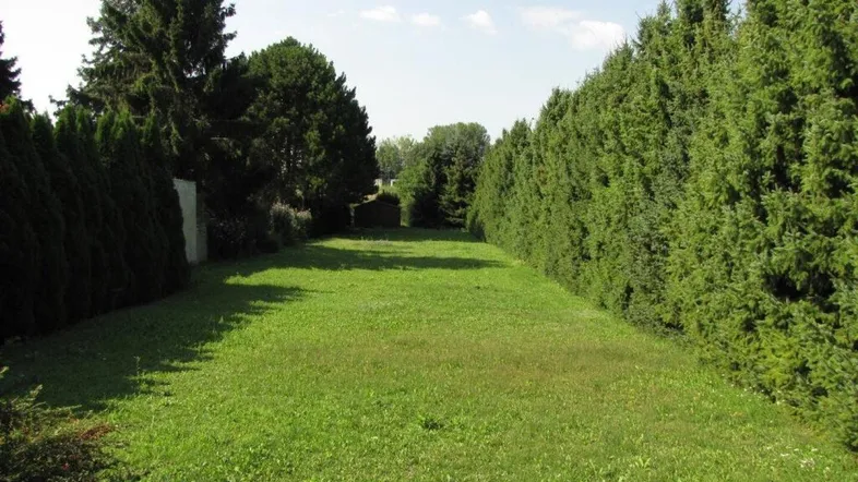 Langer, schmaler Gartenbereich mit Rasenfläche und hohen Hecken auf beiden Seiten.