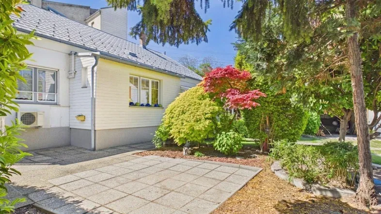 Gepflasterte Terrasse neben einem weiß gestrichenen Haus, umgeben von üppigem Grün und hohen Bäumen.