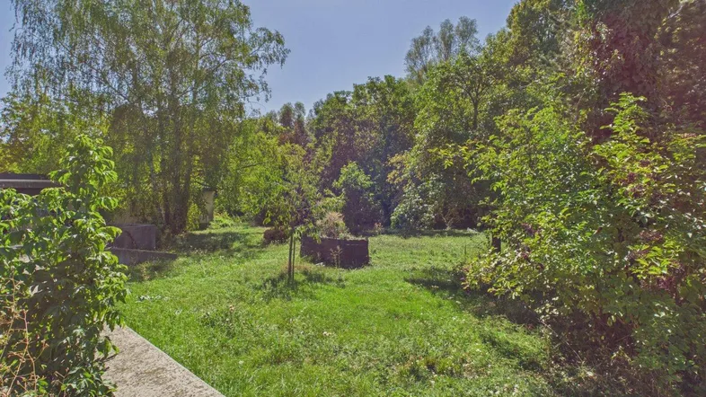 Großer Gartenbereich mit viel Grün und Bäumen unter strahlend blauem Himmel.