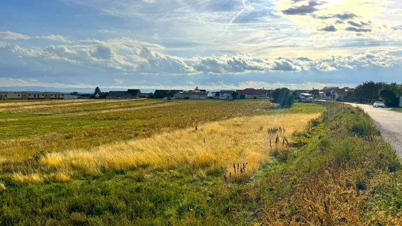 Weitläufige Landschaft mit Feldern und Häusern in der Ferne unter einem sonnigen Himmel.
