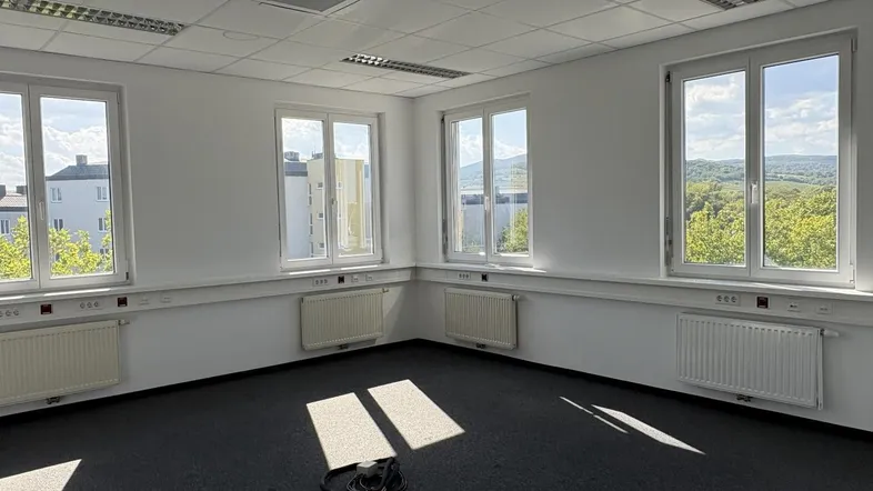 Helles Büro mit Teppichboden und mehreren Fenstern, die einen weiten Blick ins Grüne bieten.