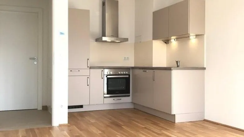 Helle, moderne Einbauküche mit hellgrauen Fronten, integriertem Backofen und Holzboden.