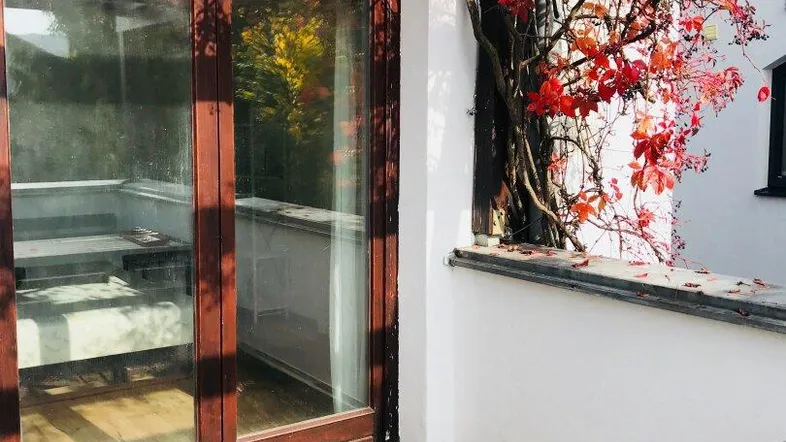 Gemütliche Terrasse mit herbstlicher Weinrebe und Blick ins Grüne, ideal zum Entspannen.