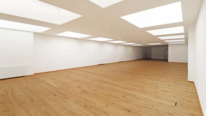 Großer, heller Gewerberaum mit modernem Holzboden und integrierten Deckenleuchten, ideal für vielfältige Nutzung.