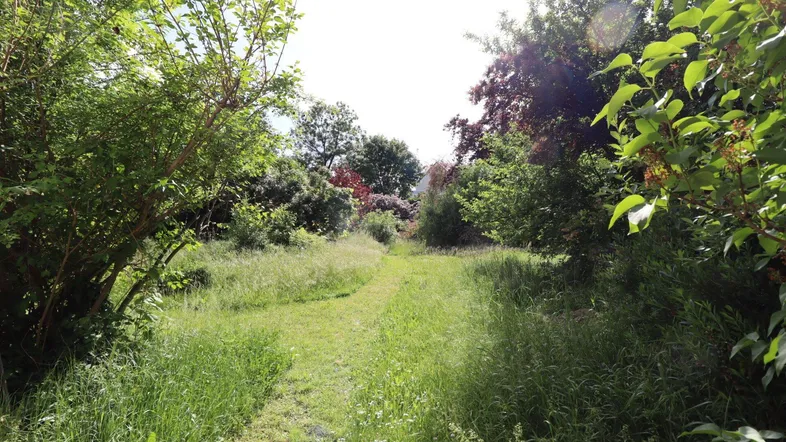 Familienvilla/Altbau &amp; 2. Baufläche, sonniger, ruhiger Westgarten