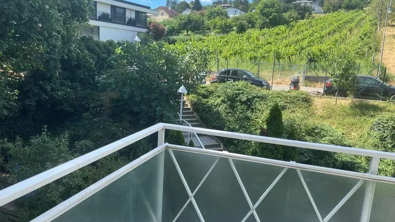 Blick vom Balkon auf einen Weinberg und die umliegende grüne Landschaft unter blauem Himmel.
