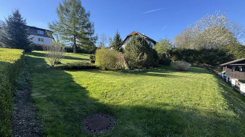 Großer, sonniger Gartenbereich mit Rasenfläche und Bäumen, umgeben von weiteren Häusern.