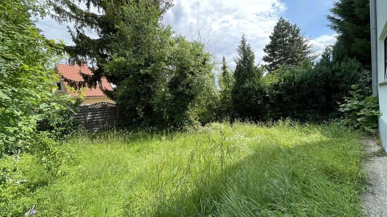 Überwuchertes Gartengrundstück mit viel Grün und Baumbestand, bereit zur Neugestaltung.