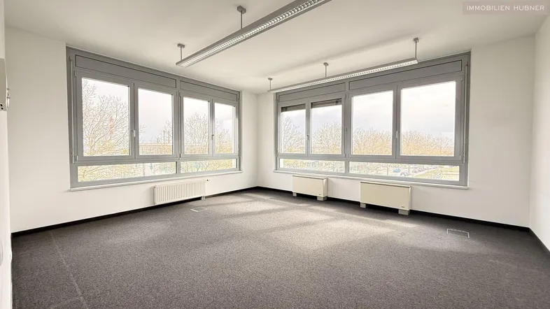 Geräumiges Büro mit großen Fenstern, Teppichboden und viel Tageslicht, ideal für Arbeitsplätze.