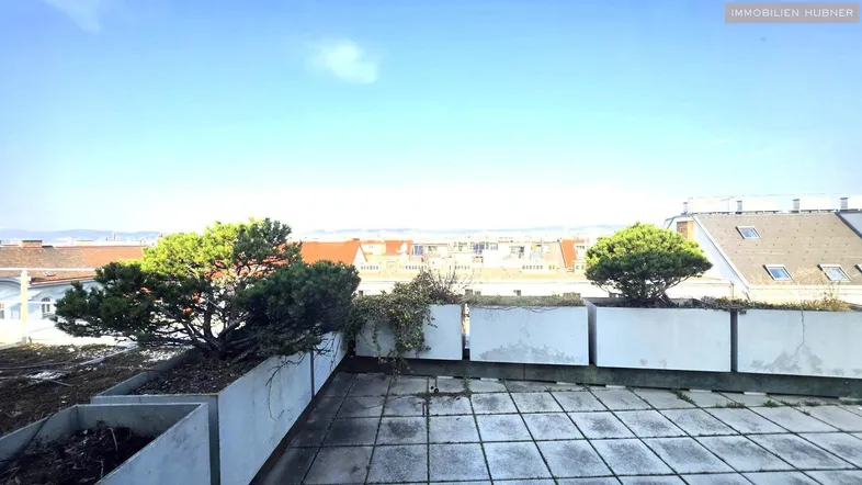 Geräumige Dachterrasse mit Pflanzkübeln und weitem Blick über die Stadtlandschaft und den Horizont.
