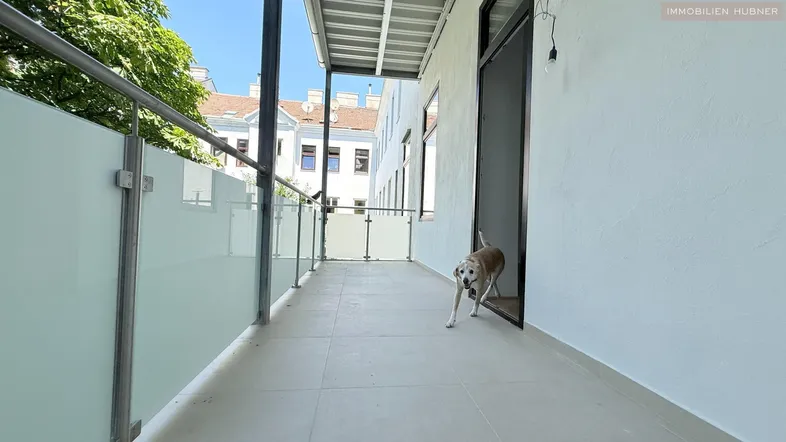 Geräumiger Balkon mit Glasgeländer und Blick auf die umliegenden Gebäude. Ein Hund läuft auf dem Balkon.
