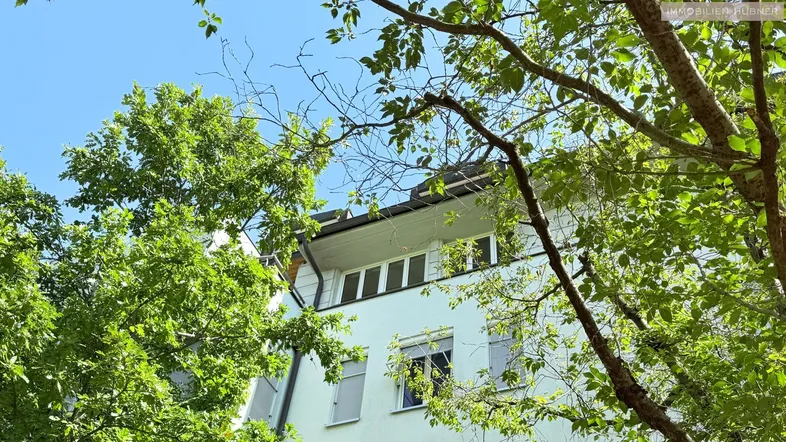 Blick auf die obere Etage des Gebäudes mit Dach und Fenstern, umgeben von grünen Bäumen.