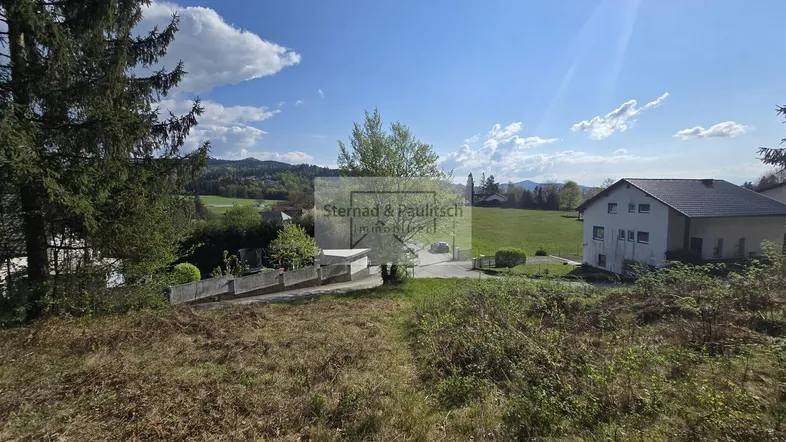 Weitläufige Landschaft mit grünen Feldern, Bäumen und einem Haus unter blauem Himmel.