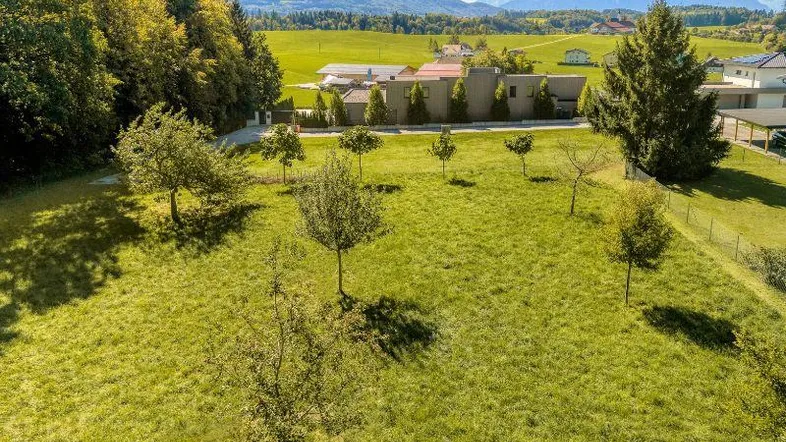 Weitläufige Grünfläche mit jungen Bäumen und Blick auf moderne Architektur sowie die umliegende Berglandschaft.
