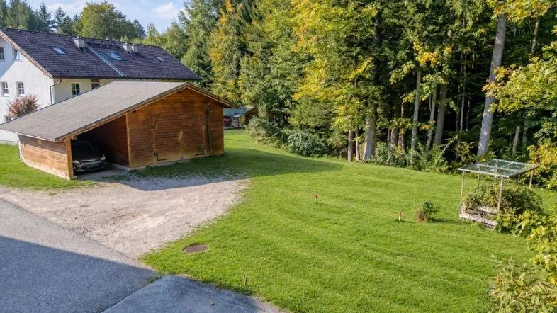 Blick auf das Grundstück mit Holzcarport, Rasenfläche und umgebenden Bäumen.
