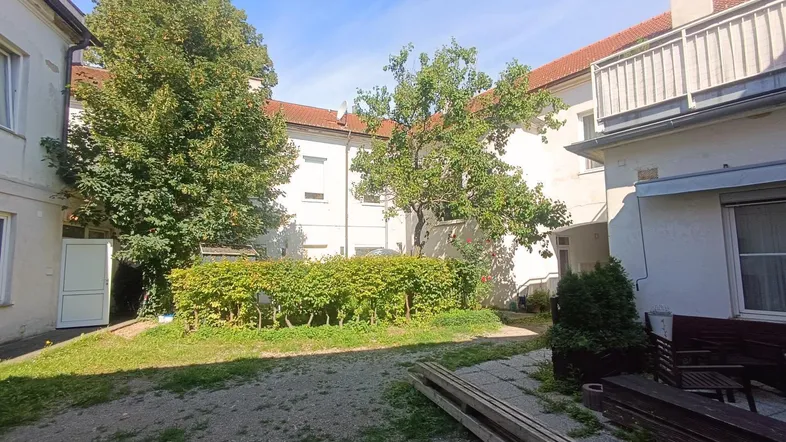 Sonniger Innenhof mit gepflegten Grünflächen, Bäumen und einer Hecke, umgeben von Wohngebäuden.
