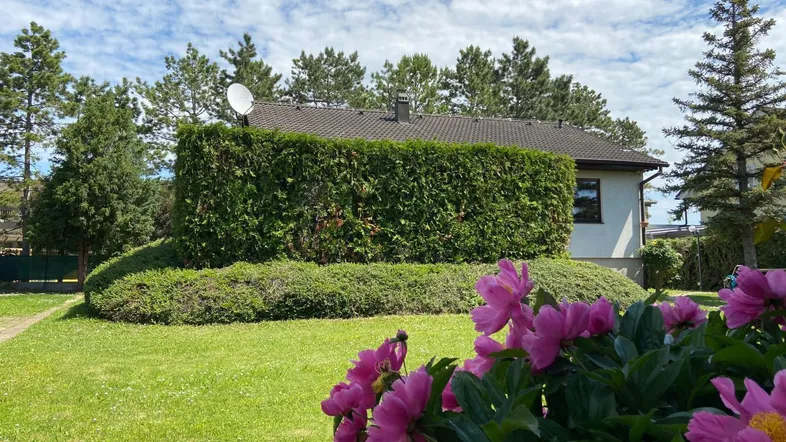 Garten 2