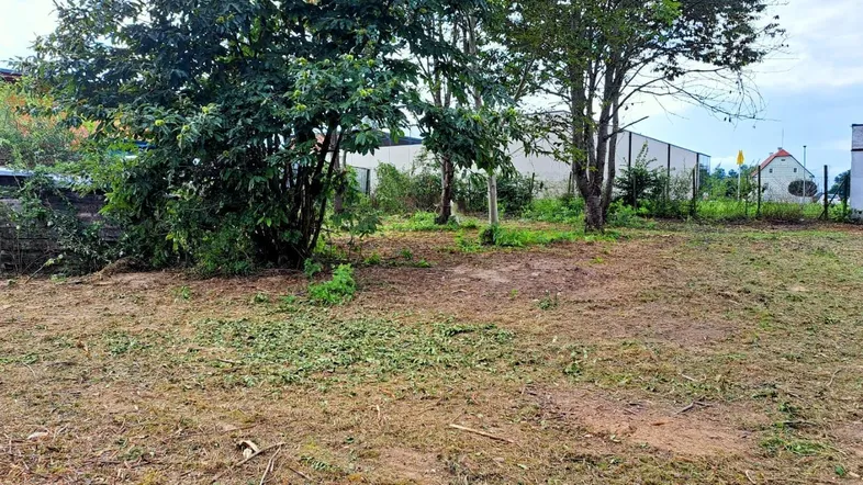 IMG-20230818-WA00021