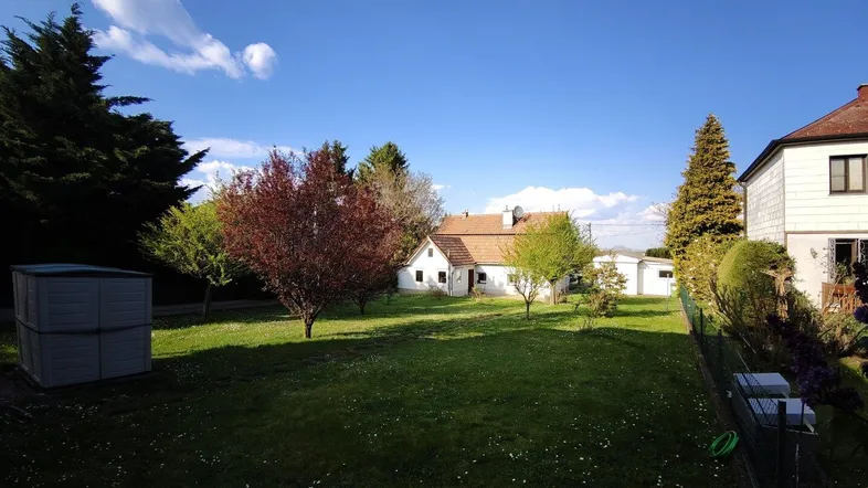 Weitläufiger Garten mit grüner Rasenfläche und verschiedenen Bäumen unter blauem Himmel.