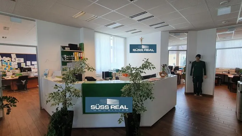 Empfangsbereich eines Büros mit Rezeptionstresen, Pflanzen und Blick in weitere Arbeitsräume.
