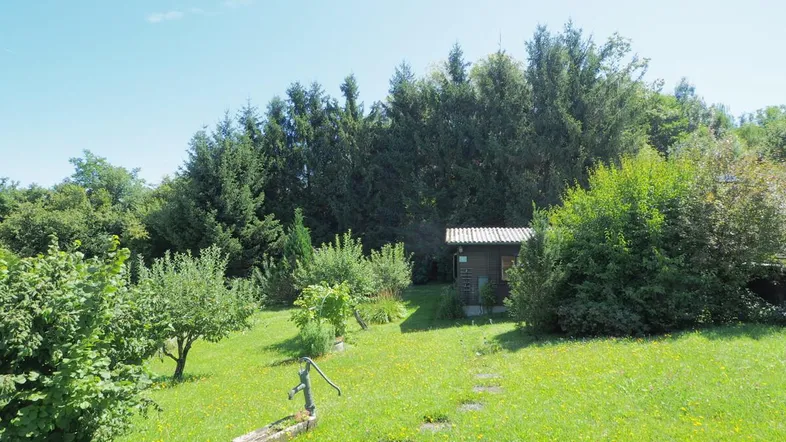 Grüner Garten mit Bäumen, einem kleinen Schuppen und einer alten Wasserpumpe unter blauem Himmel.