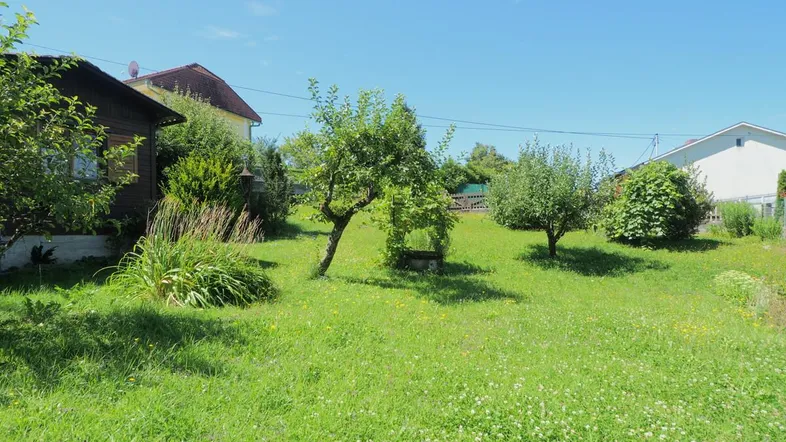 Grüner Gartenbereich mit Rasenfläche, jungen Obstbäumen und einem Holzhaus im Hintergrund unter blauem Himmel.