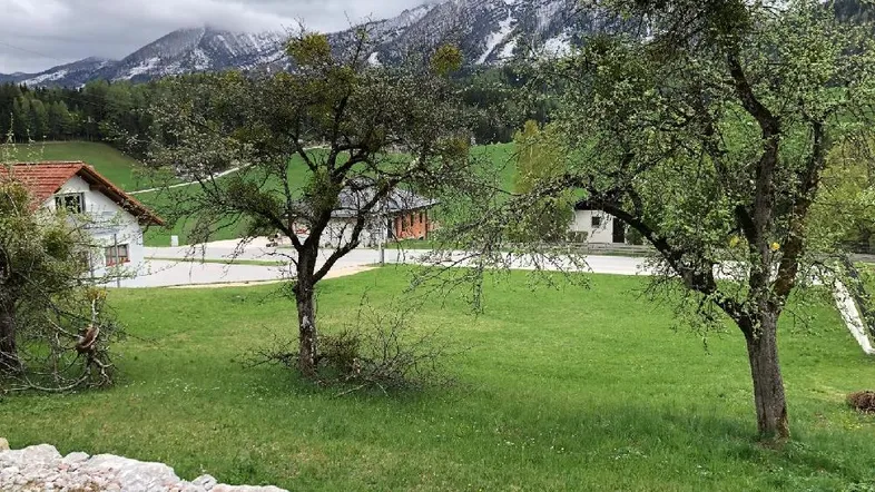 Ländliche Umgebung mit grünen Wiesen, Bäumen und schneebedeckten Bergen im Hintergrund unter bewölktem Himmel.