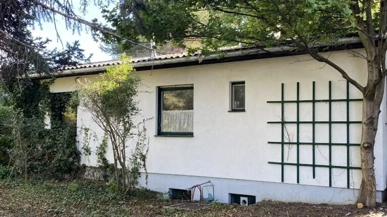 Hausfassade mit Fenstern und einem verwilderten Gartenbereich unter Bäumen.