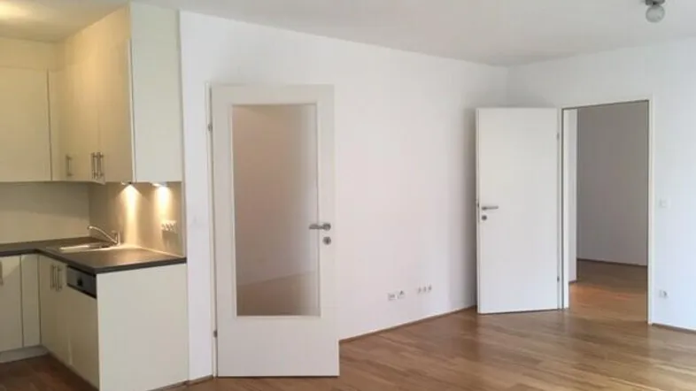 Heller Wohnbereich mit Parkettboden und integrierter Küchenzeile, ideal für offenes Wohnen.