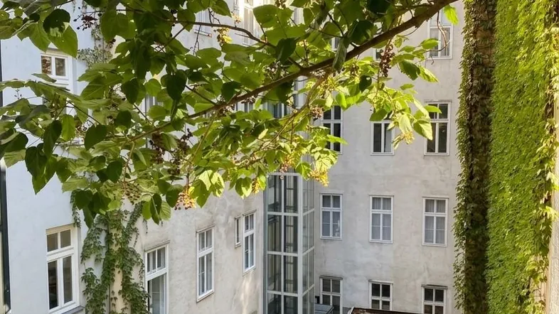 Blick in einen begrünten Innenhof mit Gebäudefassaden und einem modernen Glasaufzug.