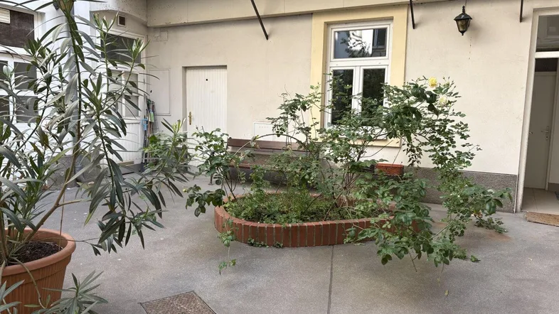 Begrünter Innenhof mit einem kleinen Beet und Topfpflanzen, umgeben von der Gebäudefassade.