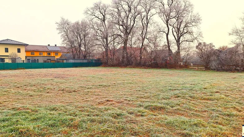 Weite, frostbedeckte Wiese mit Häusern und Bäumen im Hintergrund unter einem bewölkten Himmel.