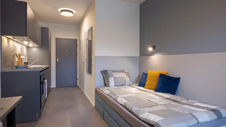 Modernes Studio-Apartment mit integrierter Küchenzeile und Schlafbereich in Grautönen.
