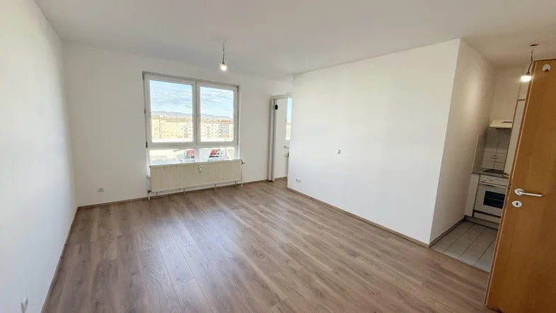 Helles, leeres Zimmer mit Laminatboden und großen Fenstern, bereit zur individuellen Gestaltung.