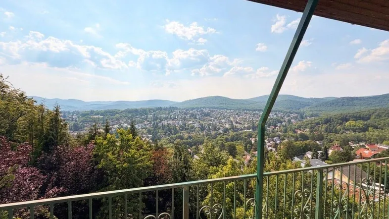 Panoramablick vom Balkon über die grüne Landschaft und die umliegende Siedlung.