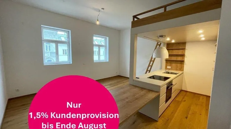 Heller, offener Wohnbereich mit integrierter Küchenzeile, Loftbett und Holzboden.