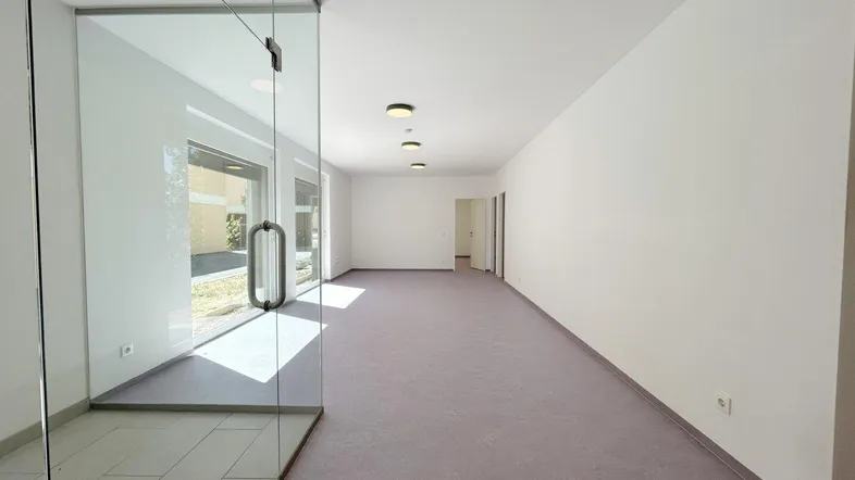 Helles, leeres Zimmer mit Glaswand und großen Fenstern, die viel Tageslicht hereinlassen.