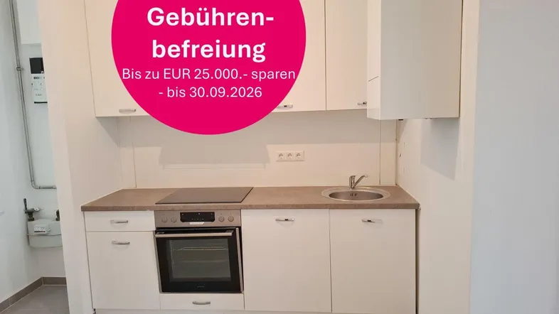 Moderne Einbauküche mit weißen Schränken, Induktionskochfeld und Backofen in hellem Raum.