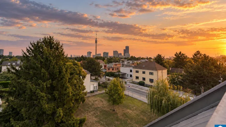 Ausblick