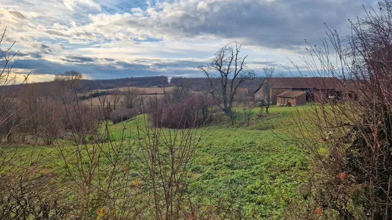 Ländliche Landschaft mit Feldern, Bäumen und einem Bauernhof in der Ferne unter bewölktem Himmel.