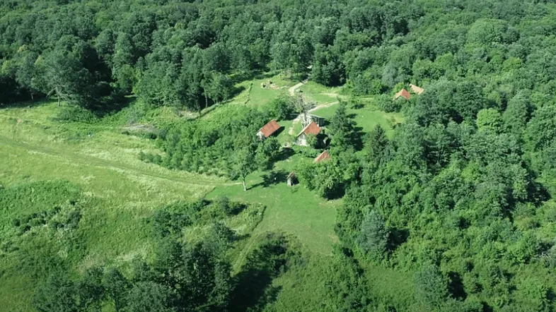 Luftaufnahme eines weitläufigen Waldgebiets mit vereinzelten Gebäuden und Lichtungen.