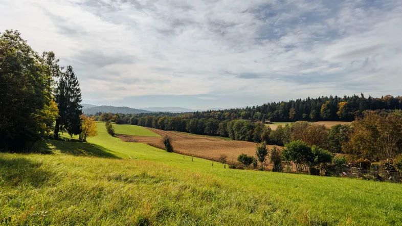Ländliche Landschaft mit sanften grünen Hügeln, Feldern und bewaldeten Gebieten unter bewölktem Himmel.