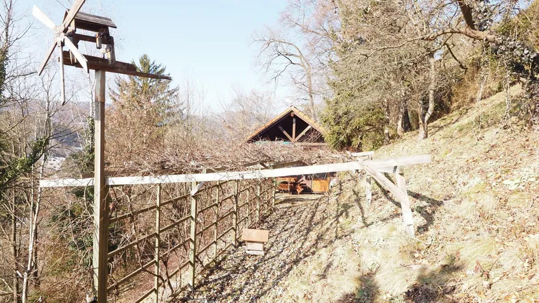 Hanglage mit terrassiertem Gartenbereich und einem kleinen Holzhaus im Hintergrund unter Bäumen.